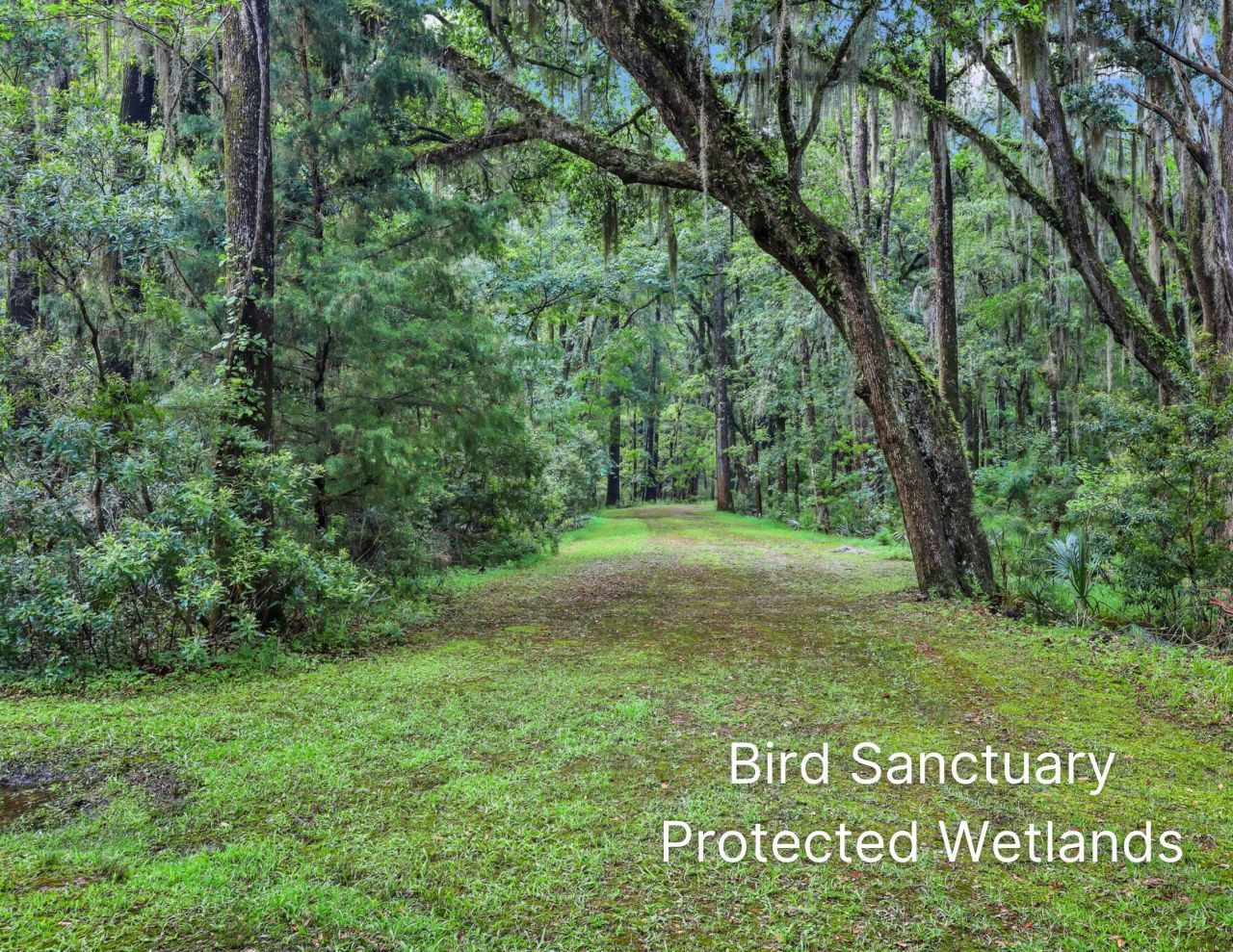 175 Bull Point Drive Photo 91