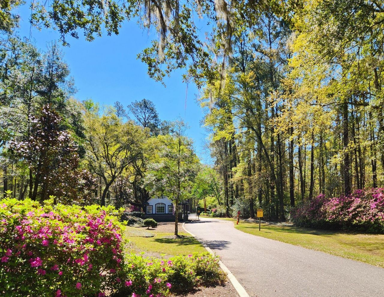 175 Bull Point Drive Photo 97