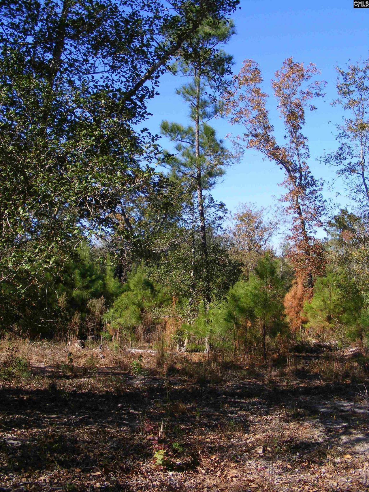 149 Branham Branch Road  Photo 10