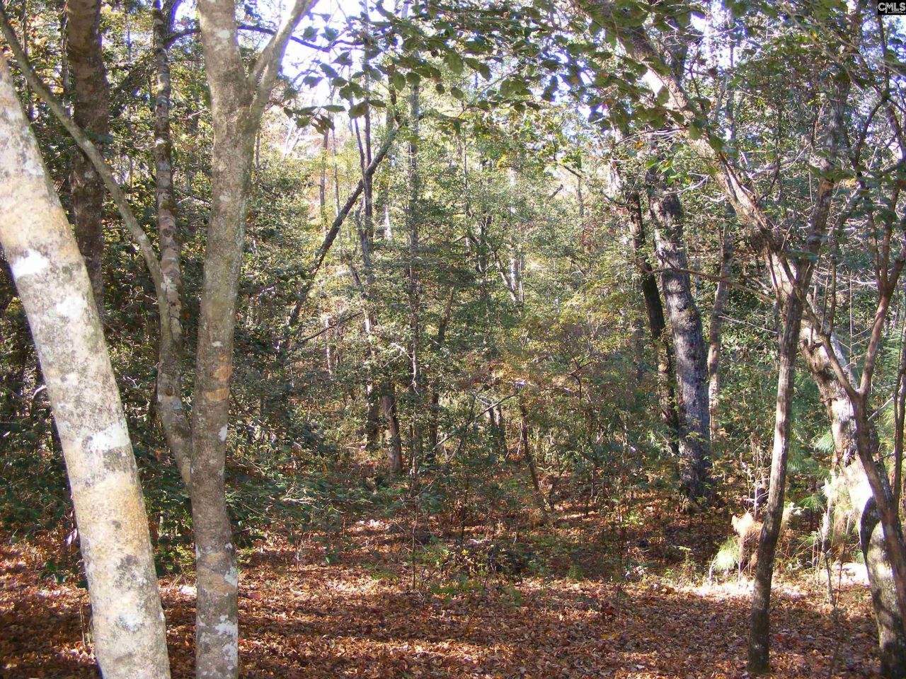 149 Branham Branch Road  Photo 11