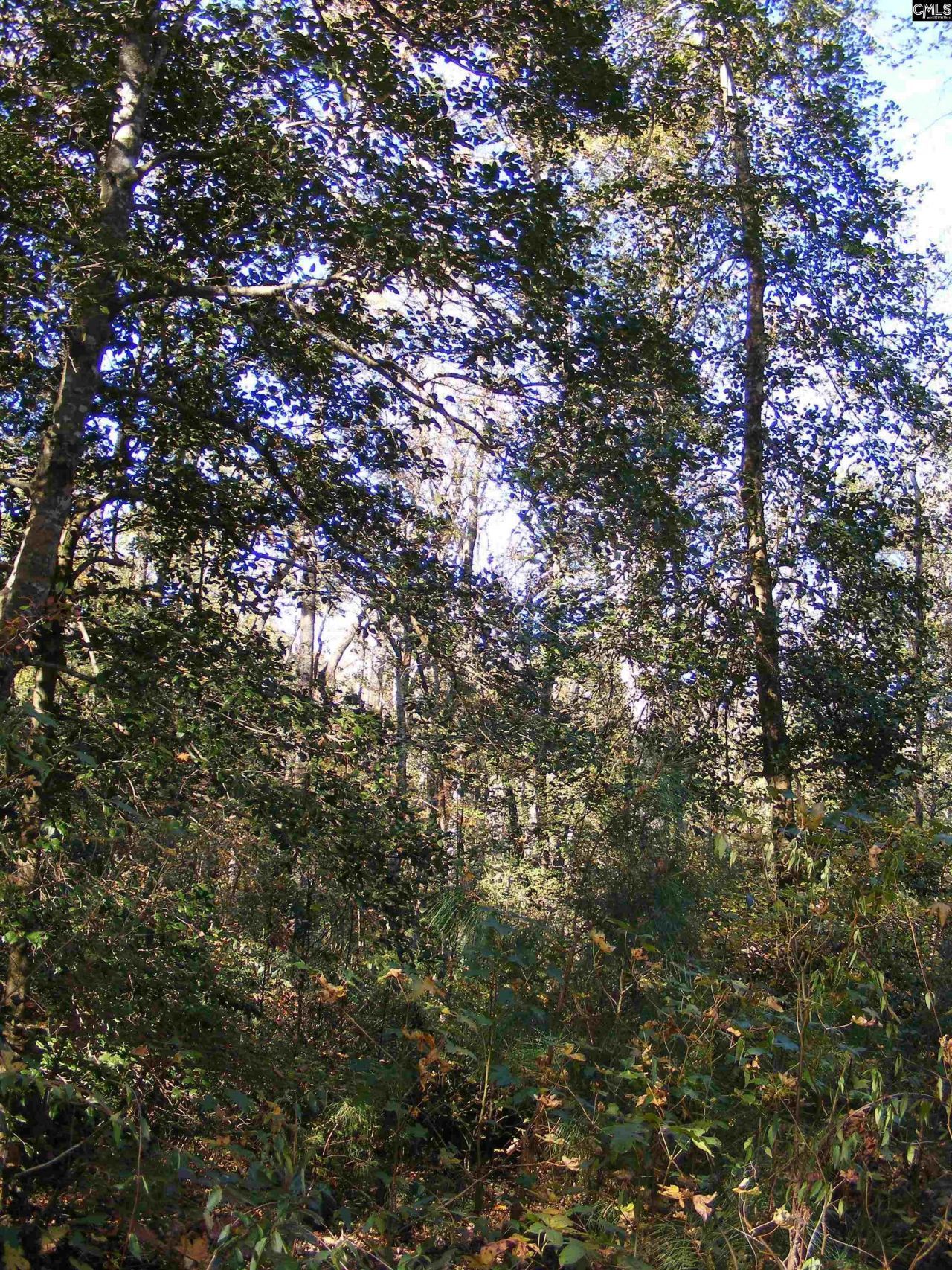 149 Branham Branch Road  Photo 12