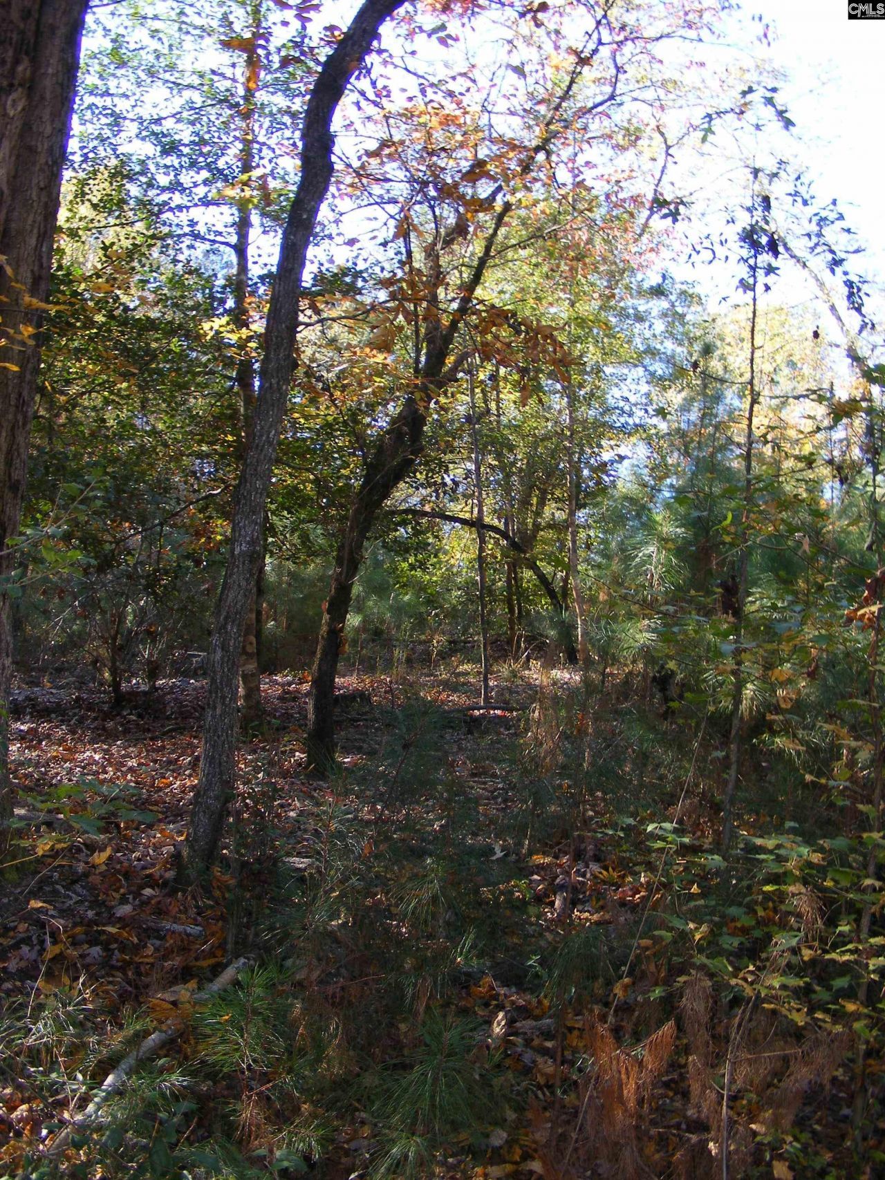 149 Branham Branch Road  Photo 13