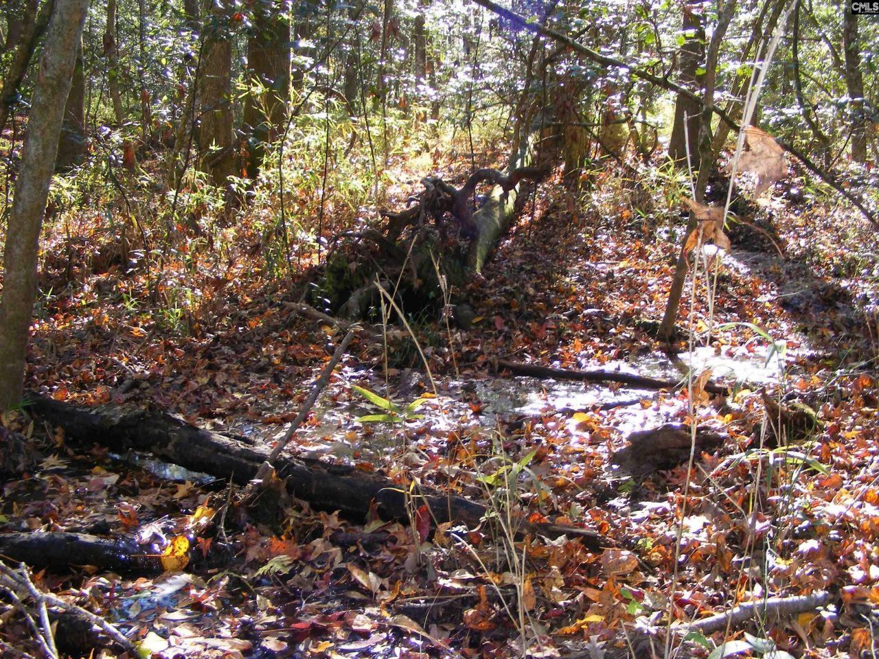 149 Branham Branch Road  Photo 15