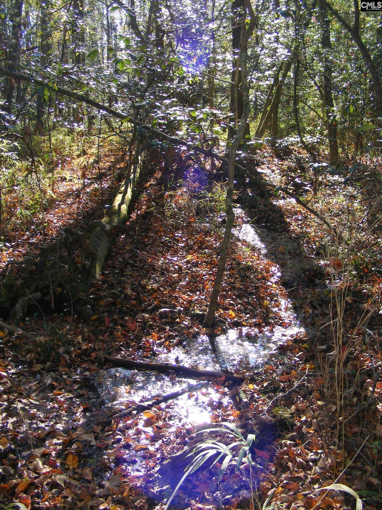 149 Branham Branch Road  Photo 16