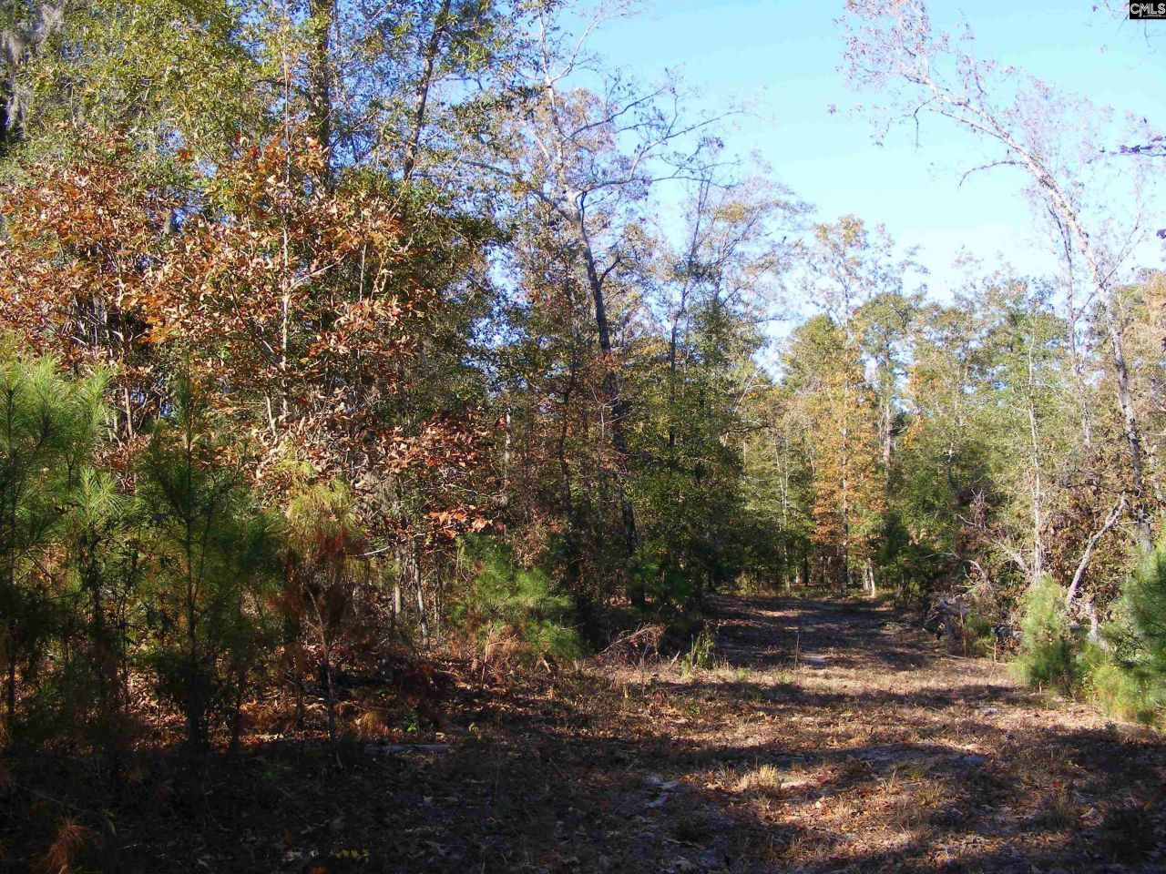 149 Branham Branch Road  Photo 17