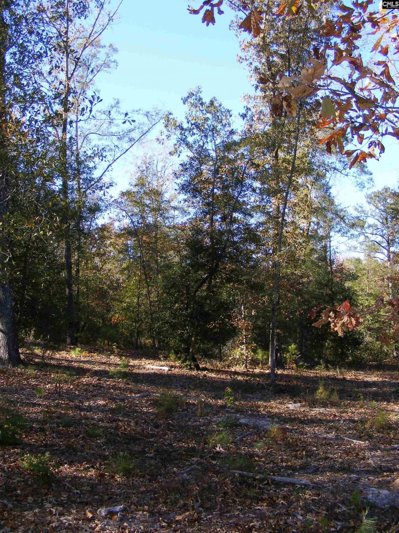 149 Branham Branch Road  Photo 18