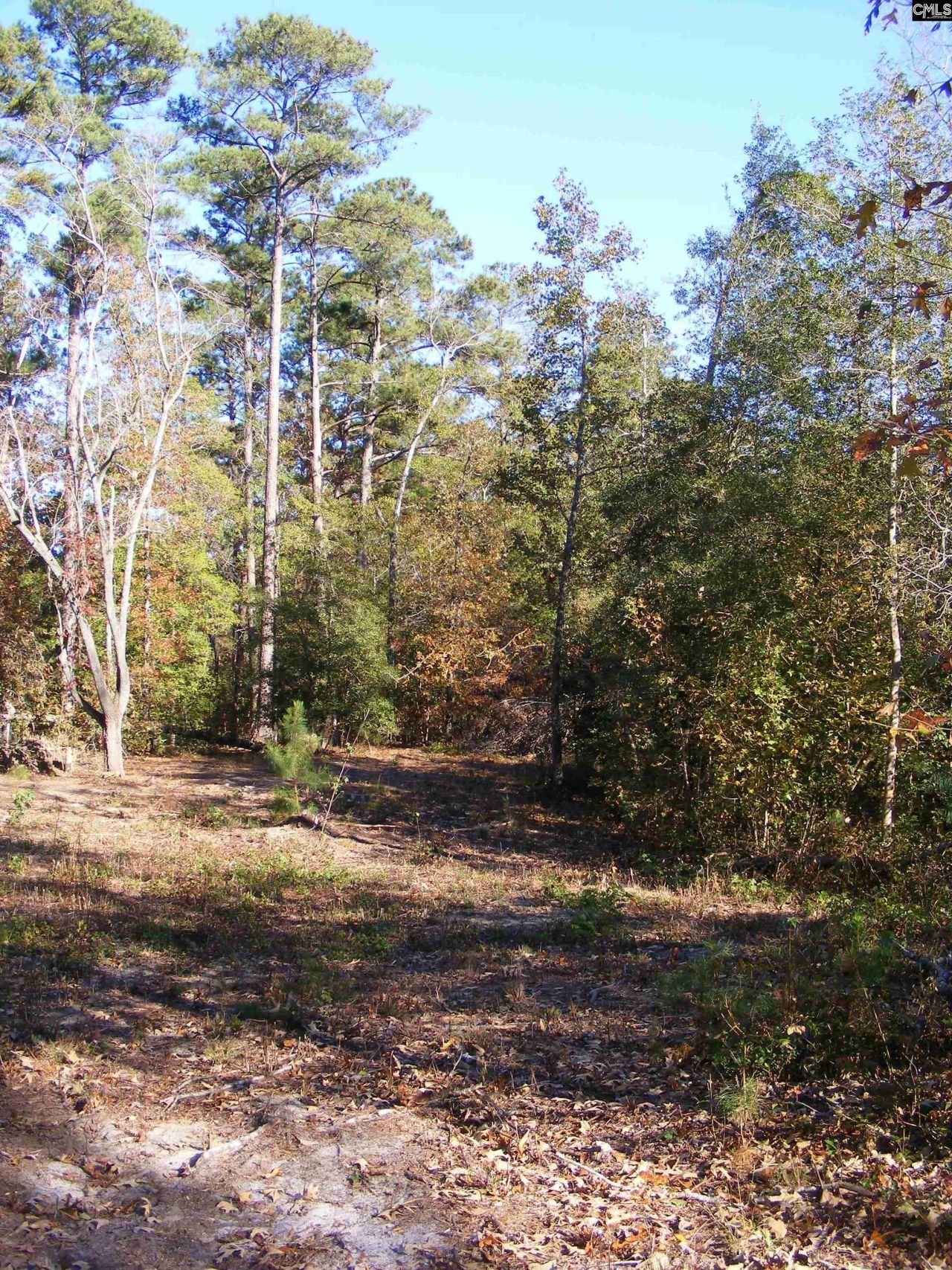 149 Branham Branch Road  Photo 19