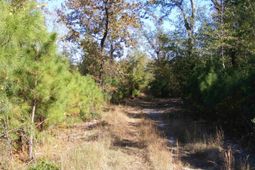 149 Branham Branch Road  photo 4