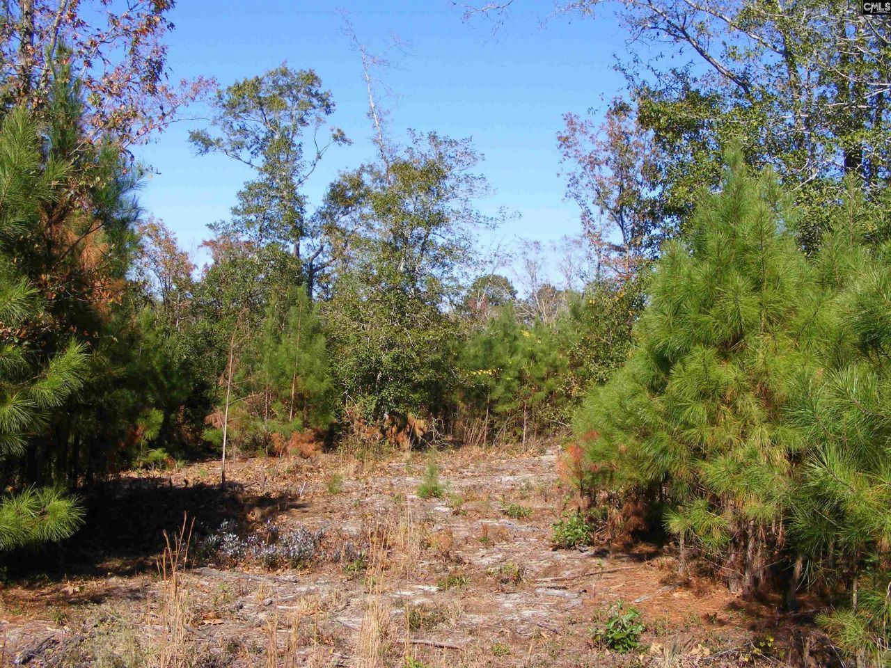 149 Branham Branch Road  Photo 4