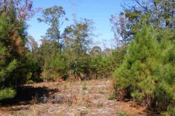 149 Branham Branch Road  photo 4