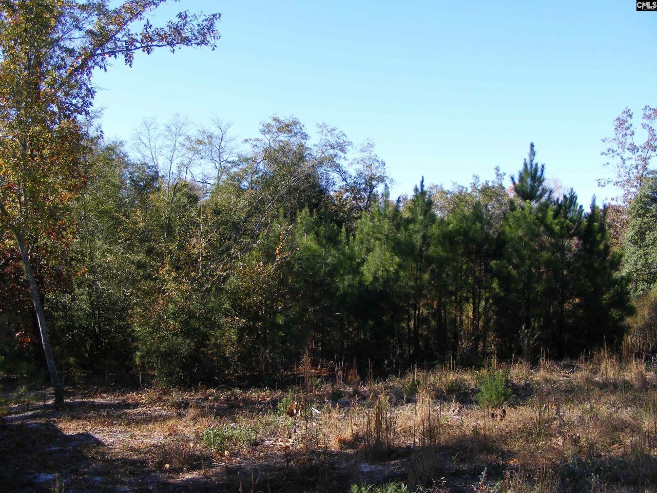 149 Branham Branch Road  Photo 5