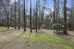 245 Bull Point Drive photo 4