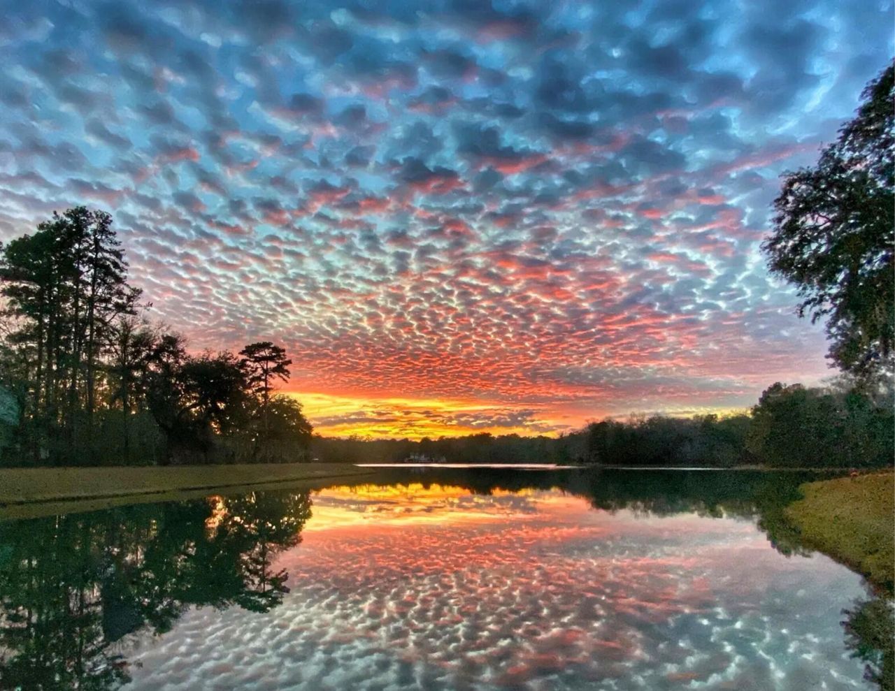 245 Bull Point Drive Photo 53