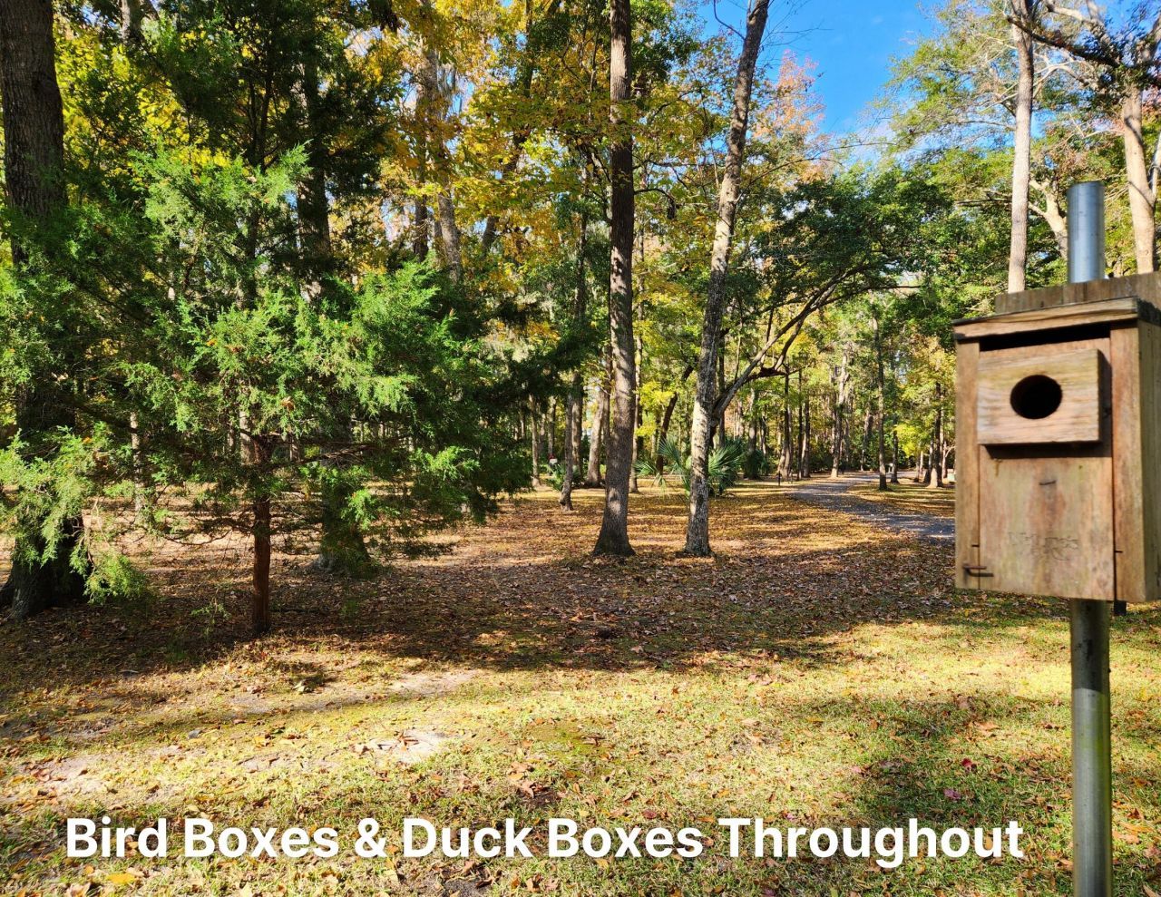 245 Bull Point Drive Photo 79