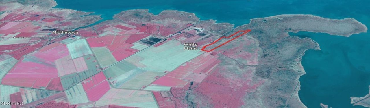 0 White Plains Rd, Engelhard, NC 27824 Main Photo