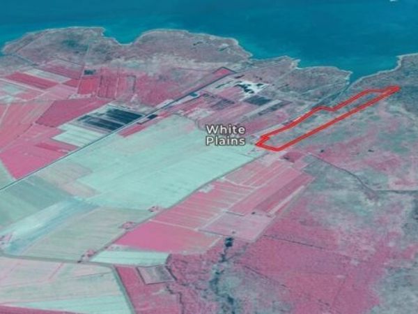 0 White Plains Rd, Engelhard, NC 27824