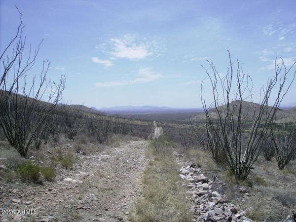 405-77-109 N Wilderness Trail, Unit 109, Douglas, AZ 85067