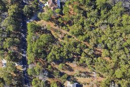 202 Brickwell Ln. photo 4