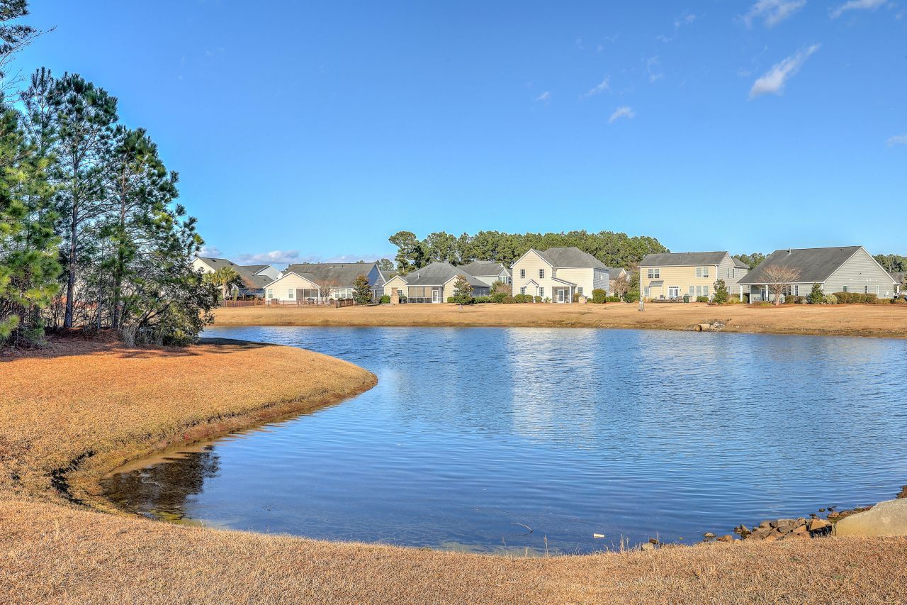 226 Lindera Preserve Boulevard Photo 43