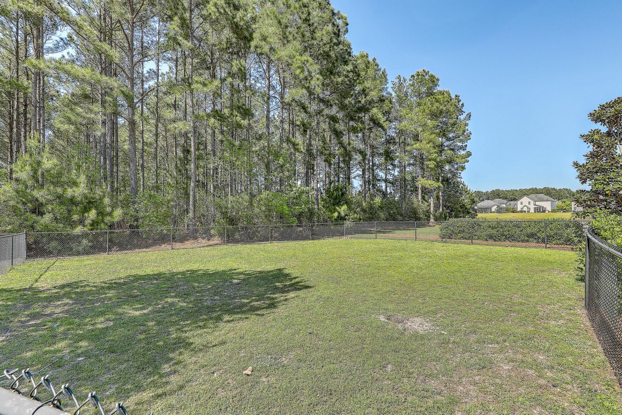 226 Lindera Preserve Boulevard Photo 46