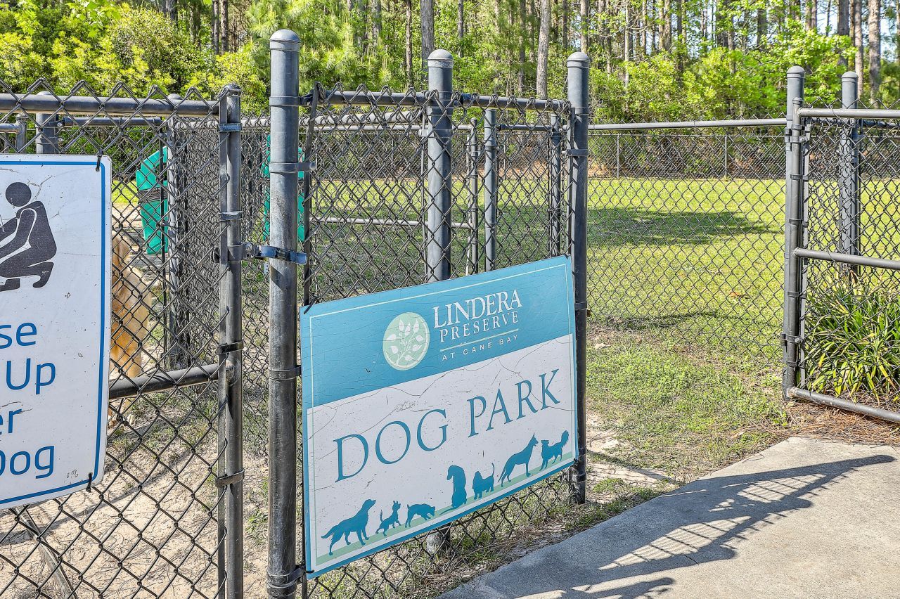 226 Lindera Preserve Boulevard Photo 47