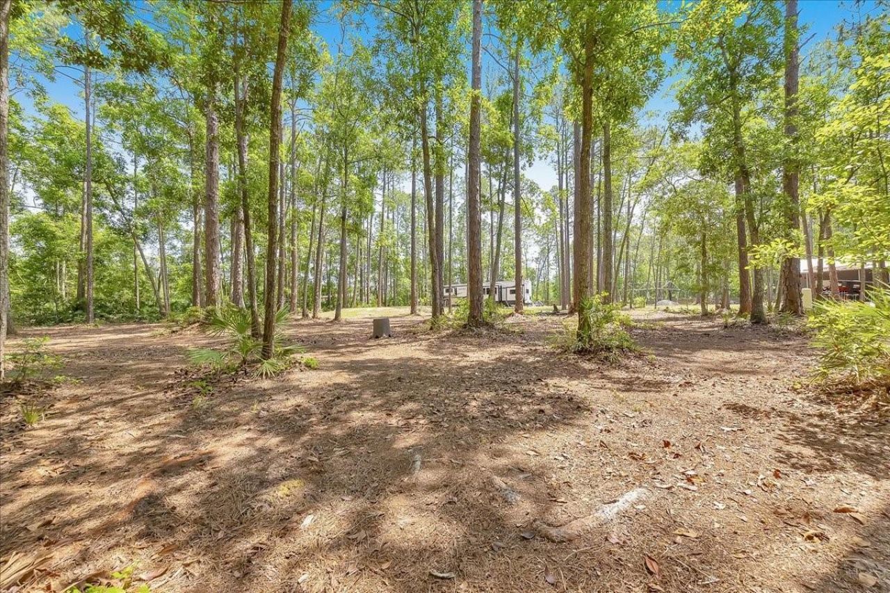 18010 NE County Road 1471, Waldo, FL 32694 Photo