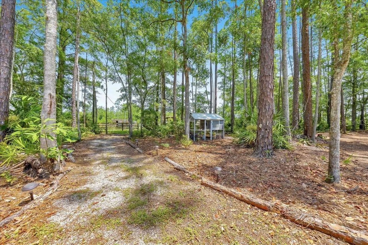 18010 NE County Road 1471, Waldo, FL 32694 Photo