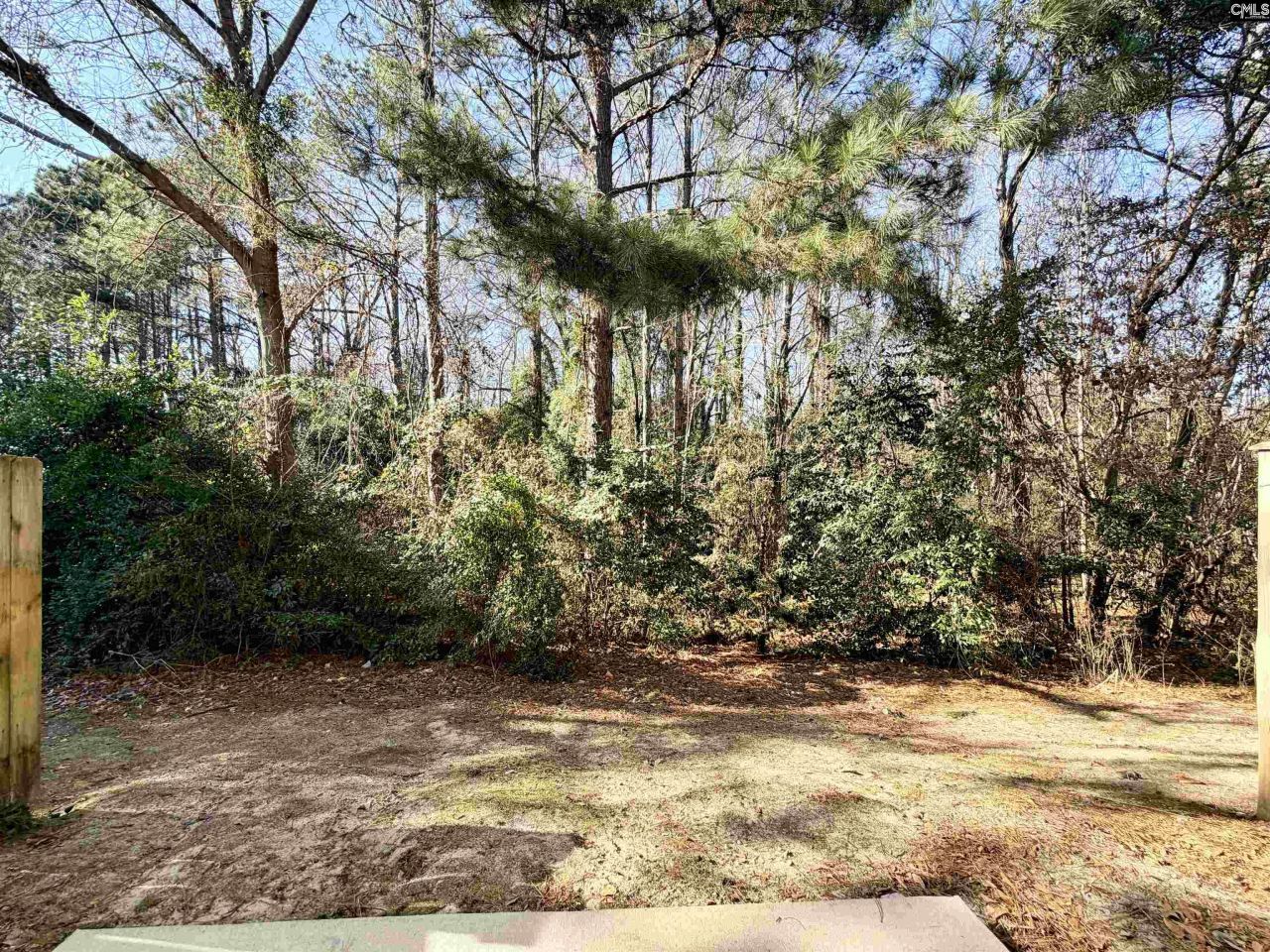 213 Favorite Court Photo 16