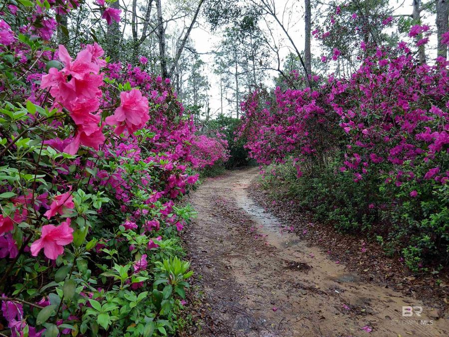 Property Image 93