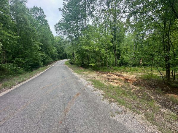 TRACT 6 BUTLER RD, Pinson, TN 38366