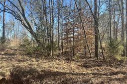 0 Morris Road  photo 4