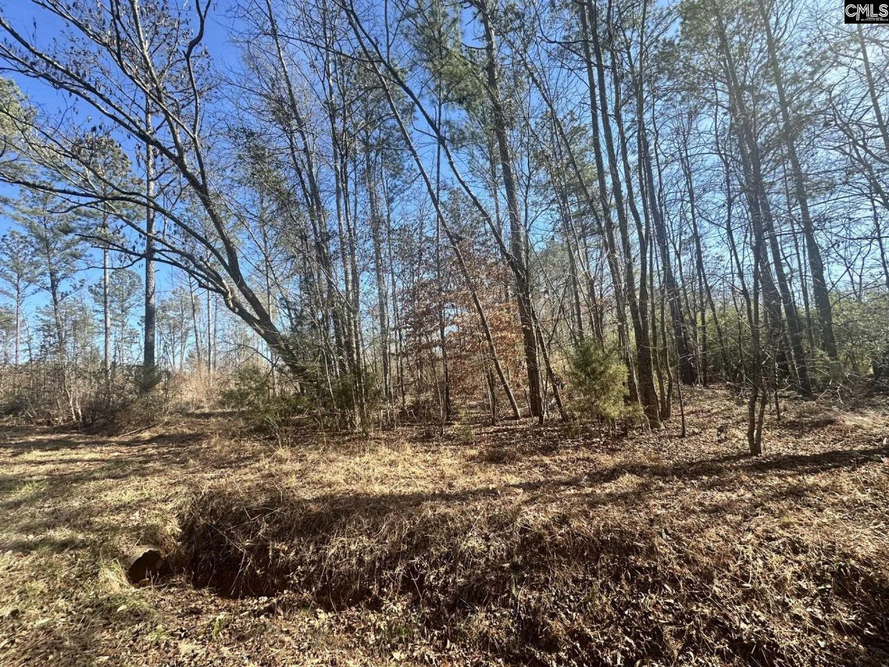 0 Morris Road  Photo 4