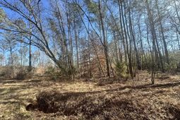 0 Morris Road  photo 4