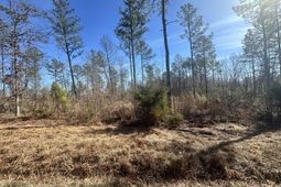 0 Morris Road  photo 4