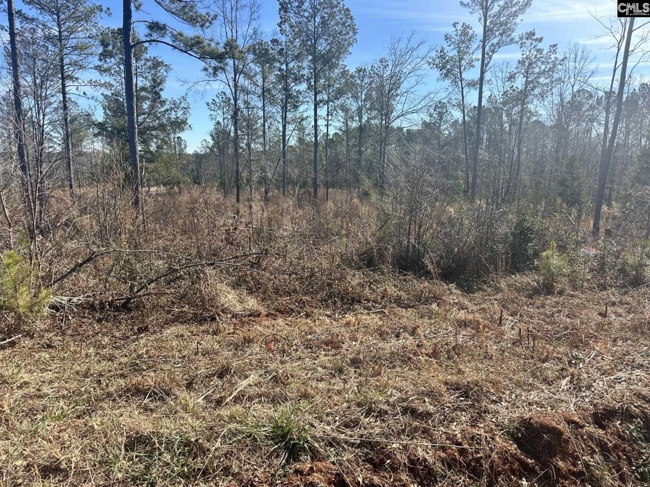 0 Morris Road  Photo 6