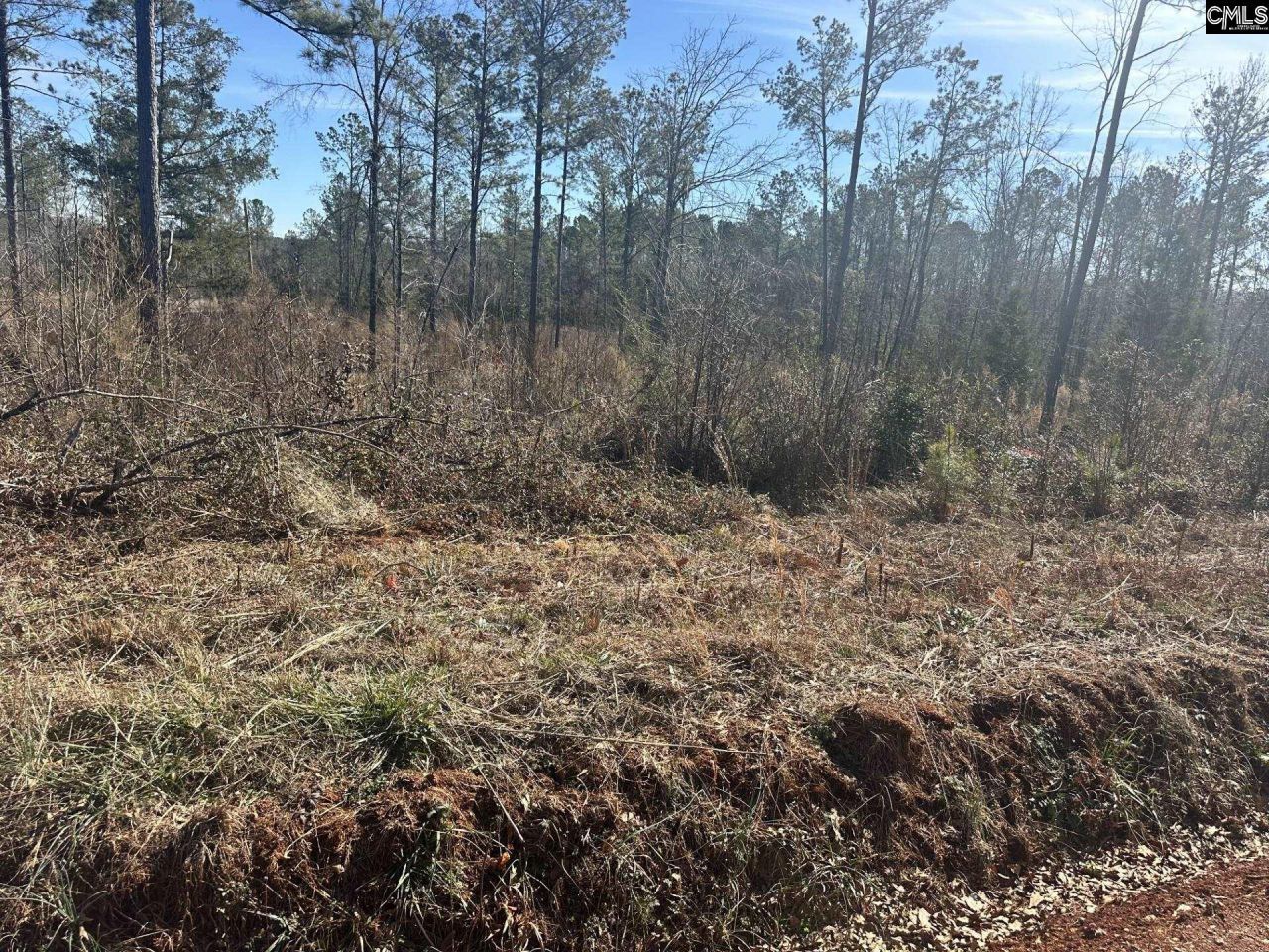 0 Morris Road  Photo 8