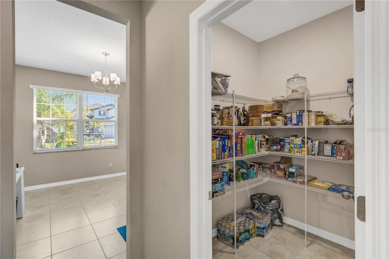 3027 Autumn Rock Drive, Zephyrhills, FL 33540 Photo