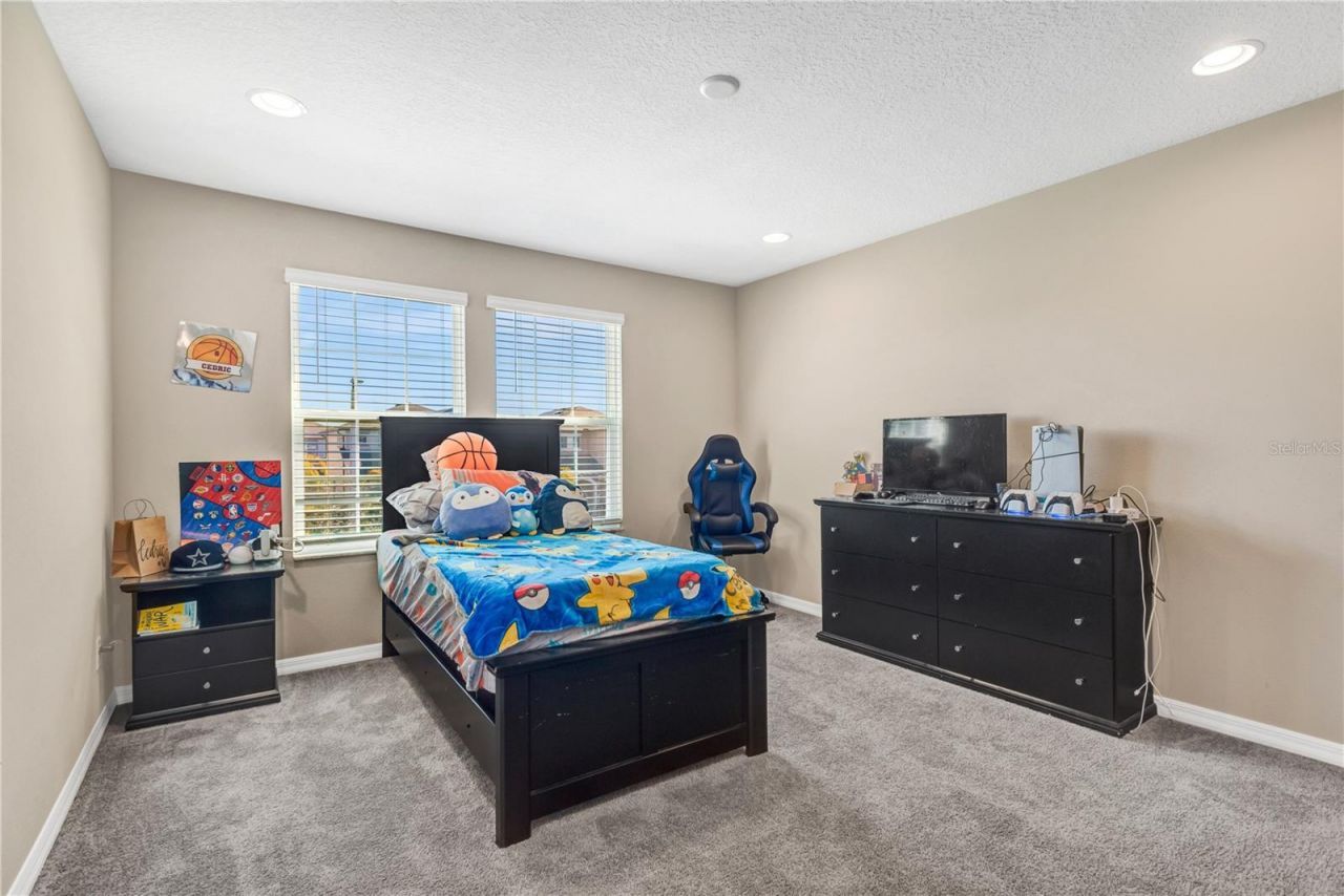 3027 Autumn Rock Drive, Zephyrhills, FL 33540 Photo