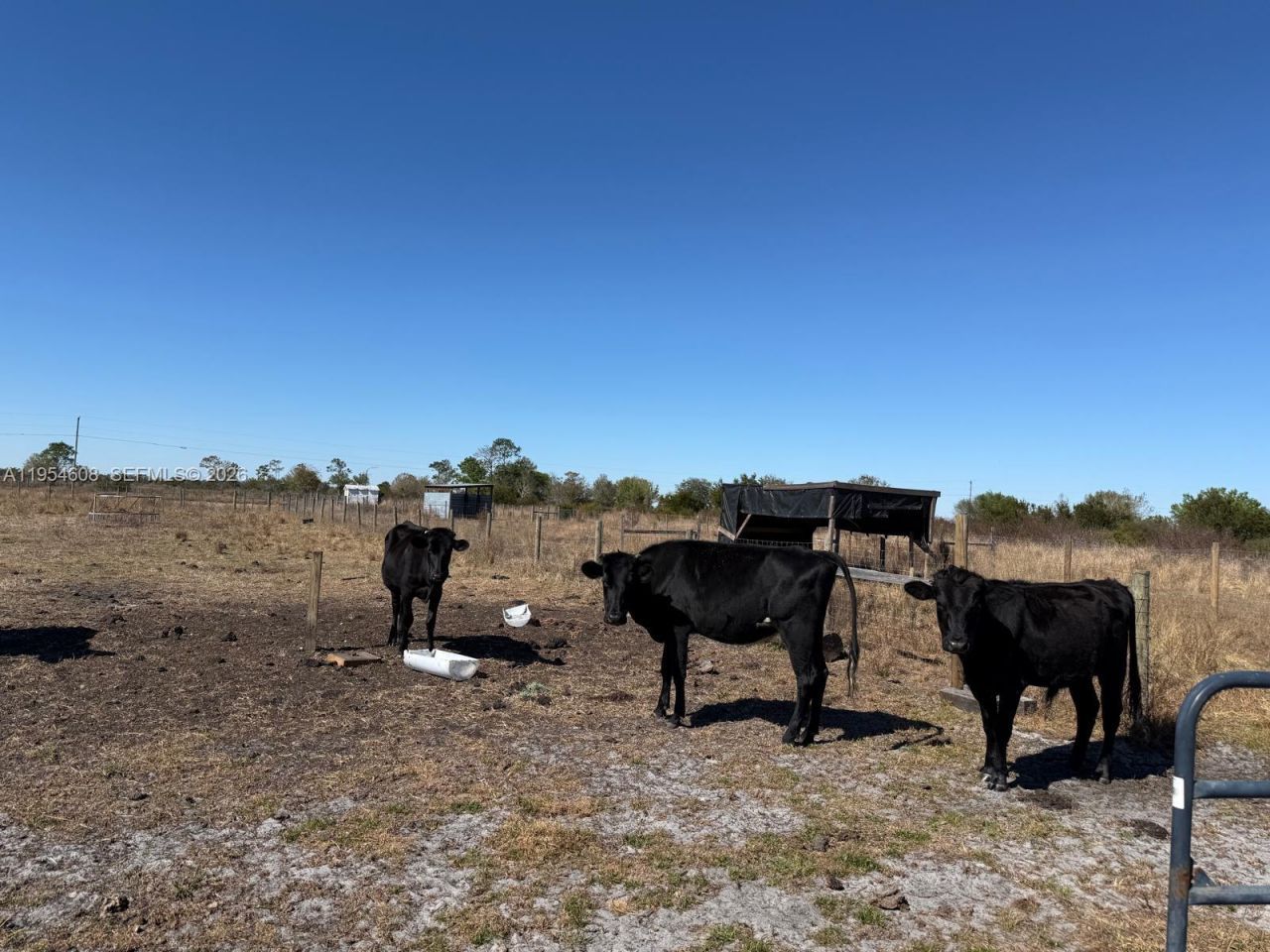 286 Lott Grade , Venus, FL 33960 Photo