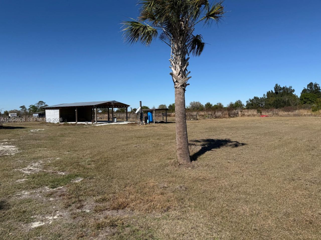 286 Lott Grade , Venus, FL 33960 Photo