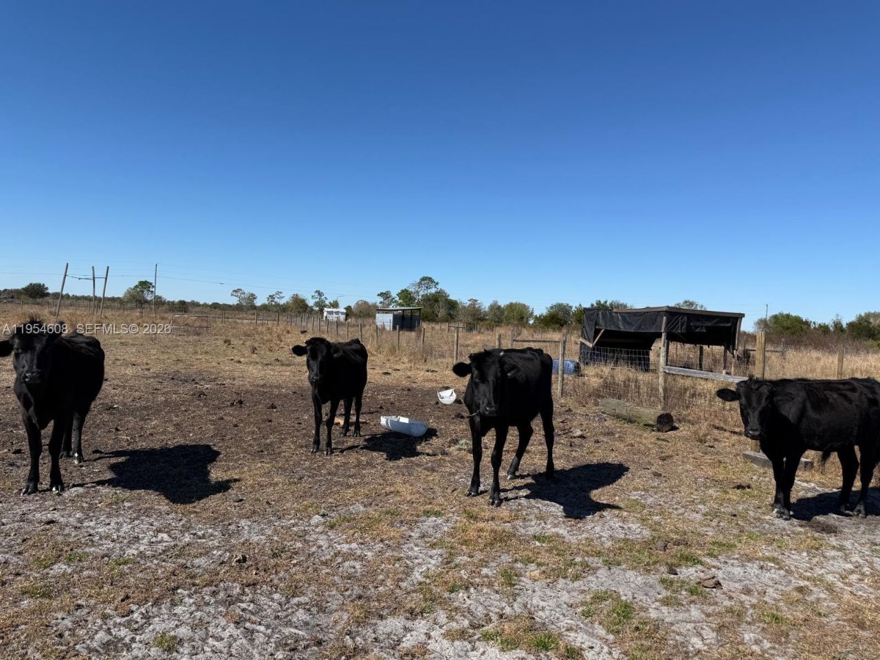 286 Lott Grade , Venus, FL 33960 Photo