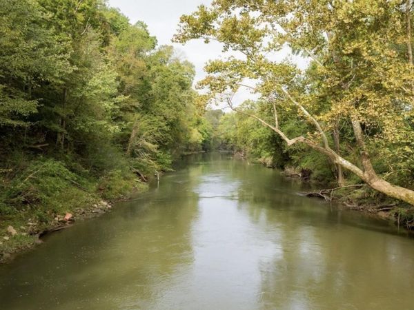 12 Sturgeon Creek Road, Cedar Hill, TN 37032