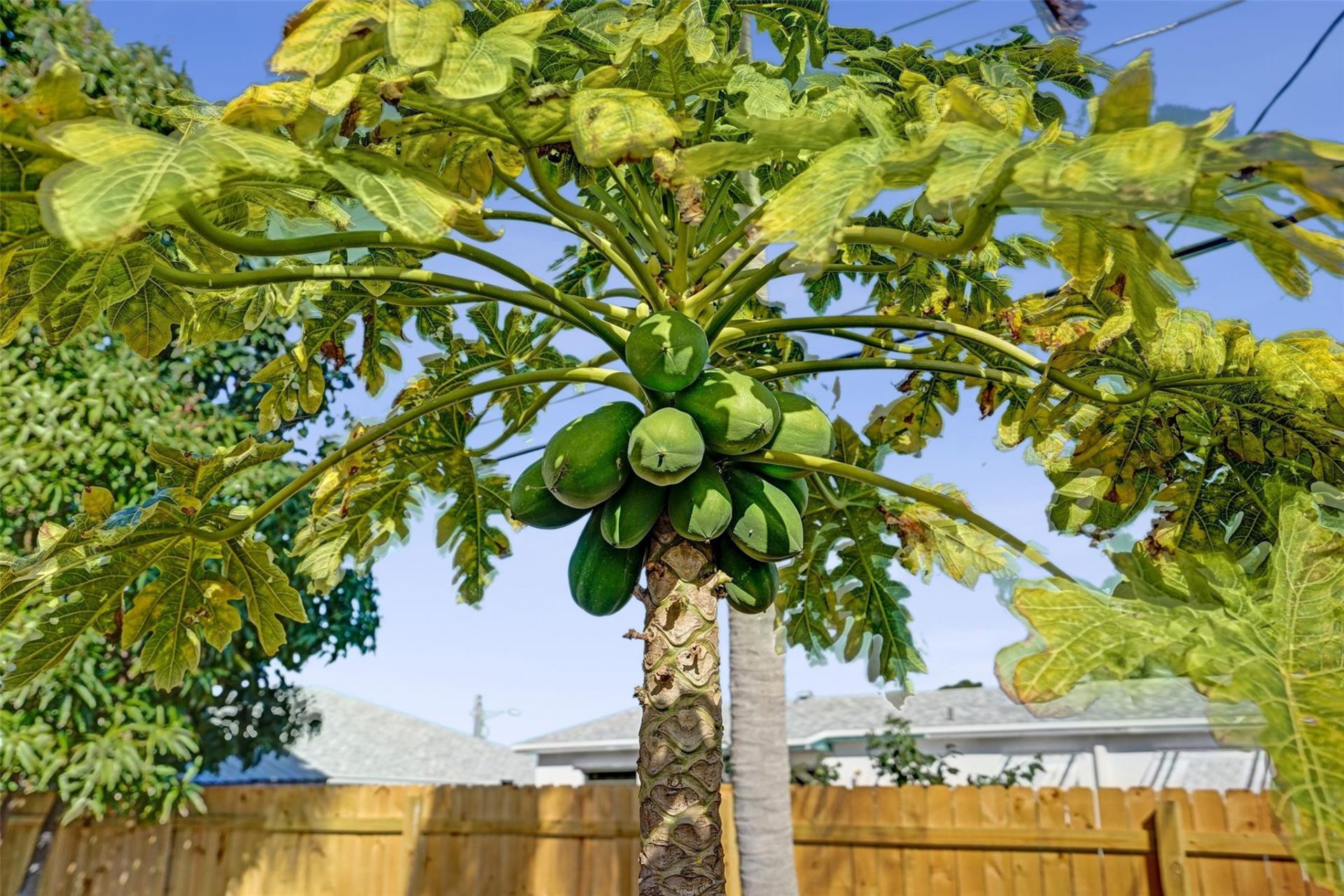 171 Ocean Pkwy, Boynton Beach, FL 33435 Photo