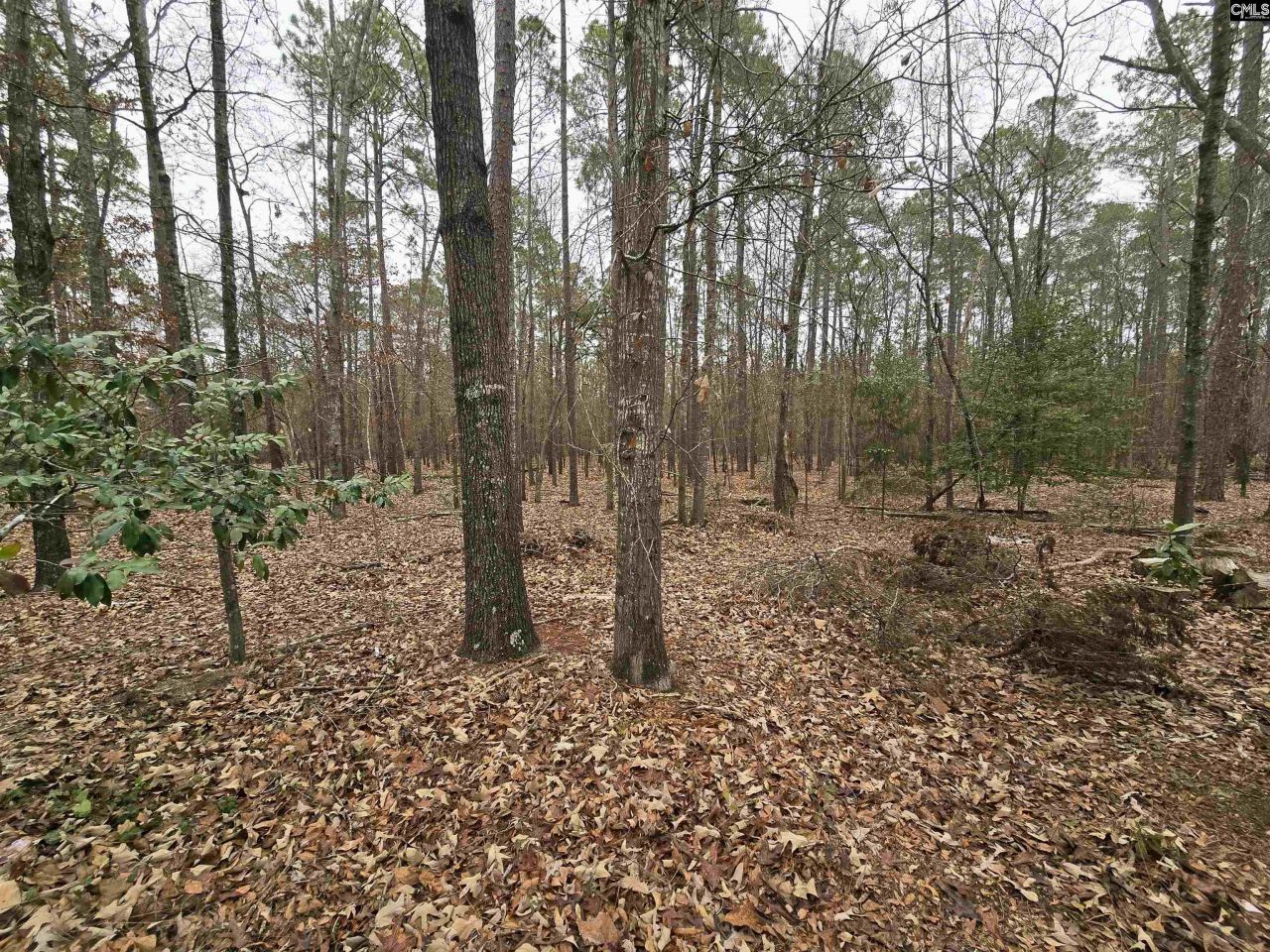 400 Pickens Street Photo 31