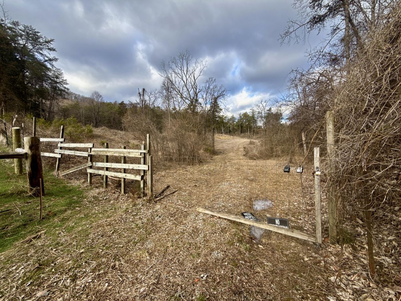 25/ac Tbd Coy Bradley Lane, Bulls Gap, TN 37711 Main Photo