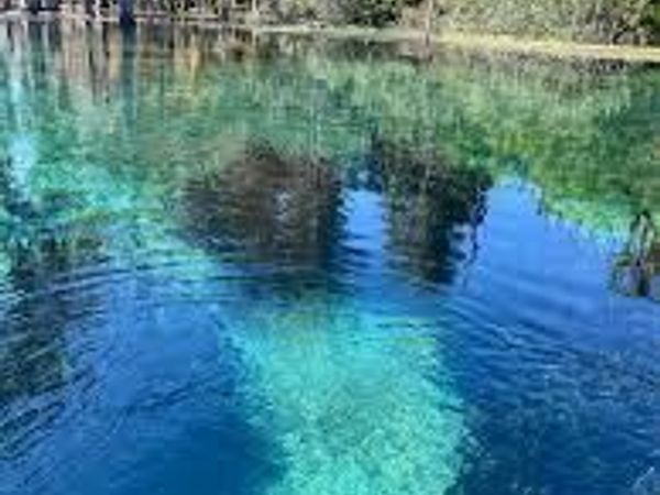 000 Flynt Drive, Marianna, FL 32446