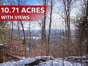 15 Silver Mine Road, North Blenheim, NY 12131