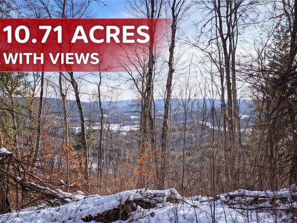 15 Silver Mine Road, North Blenheim, NY 12131