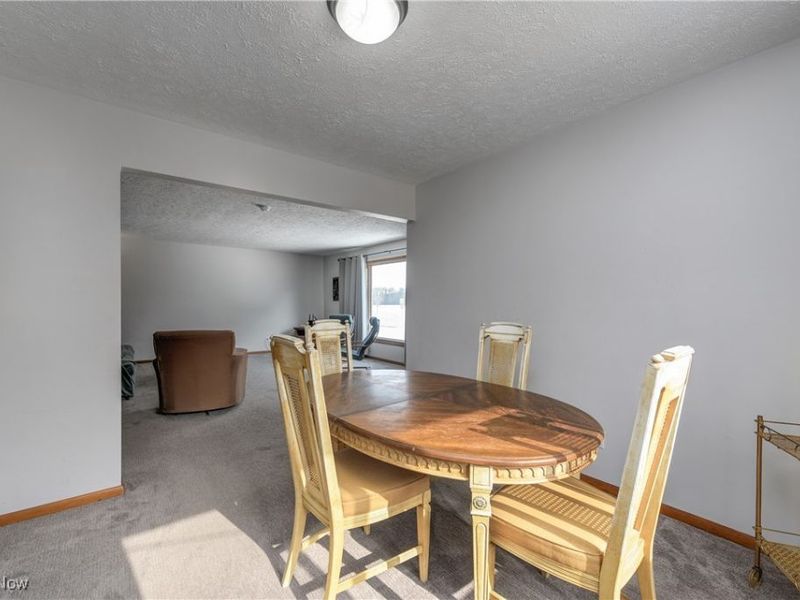 180 N Park Street, Oberlin, OH 44074 Photo 10