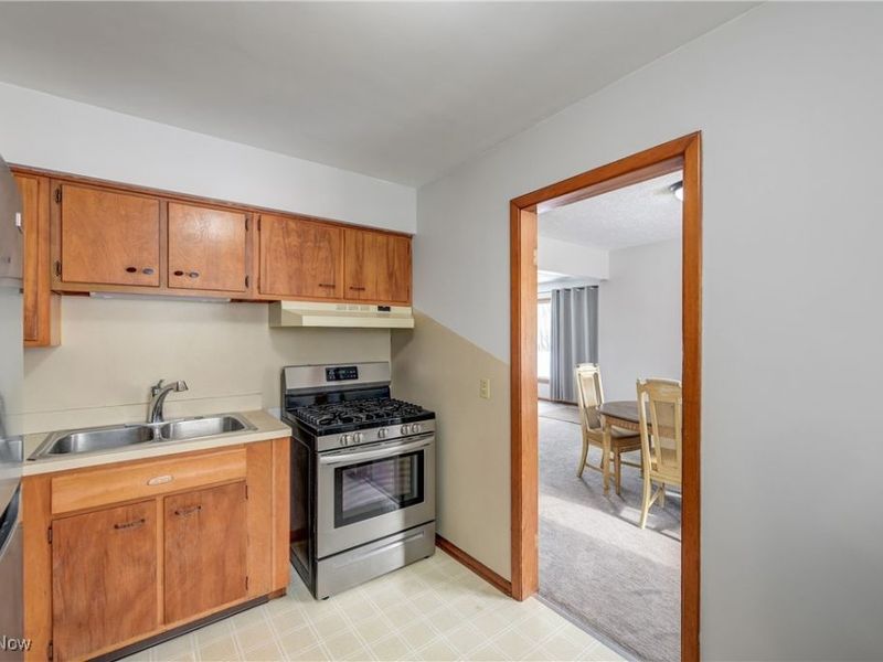 180 N Park Street, Oberlin, OH 44074 Photo 13